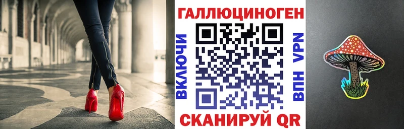 где купить Шагонар Псилоцибиновые грибы прущие грибы